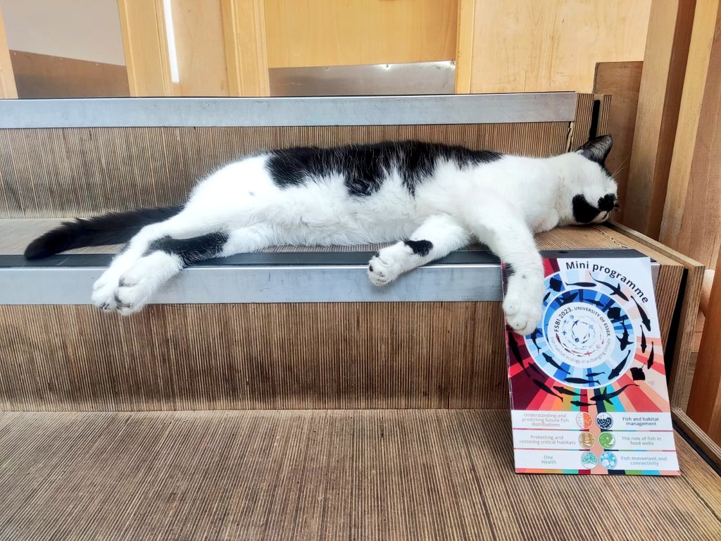 fsbi_symposium's tweet photo. Pebbles the @Uni_of_Essex campus cat (@essex_cat) is exhausted after so many amazing talks at #FSBI2023 🐈‍⬛ 🤣

@EssexLifeSci @CefasGovUK @TheFSBI https://t.co/SaE5G9Q74V
