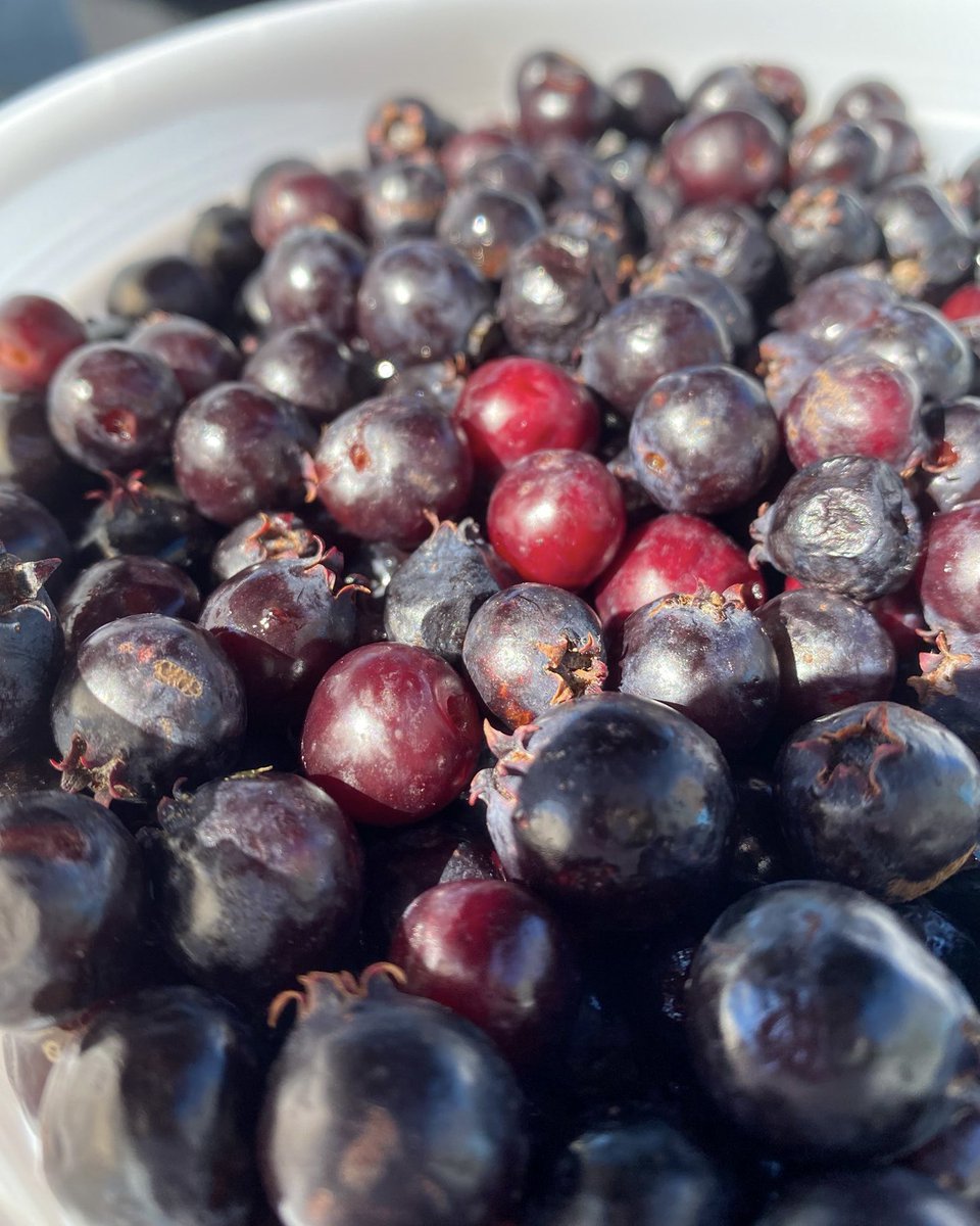 ReginaFarmersMarket tweet media