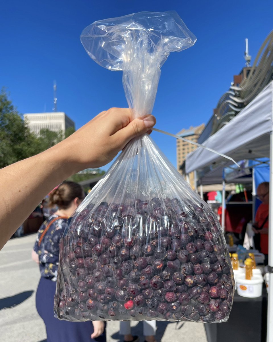 ReginaFarmersMarket tweet media