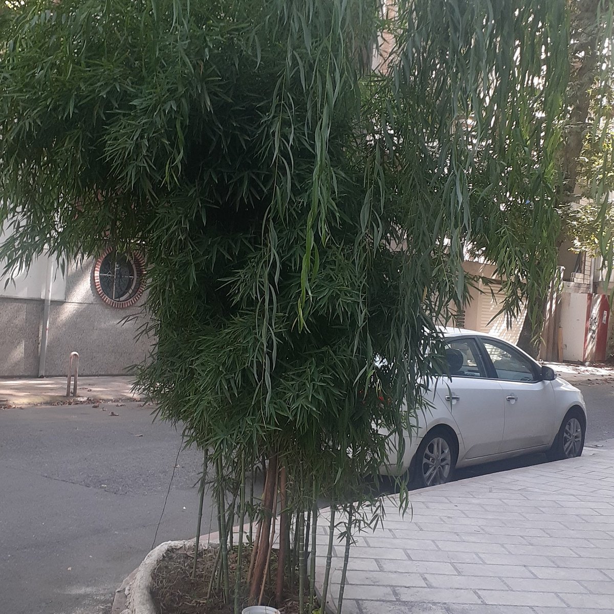 Said52188827's tweet photo. #NewProfilePic https://t.co/KFZTKwpVly