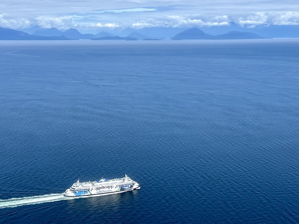 Christopher M Davis tweet media