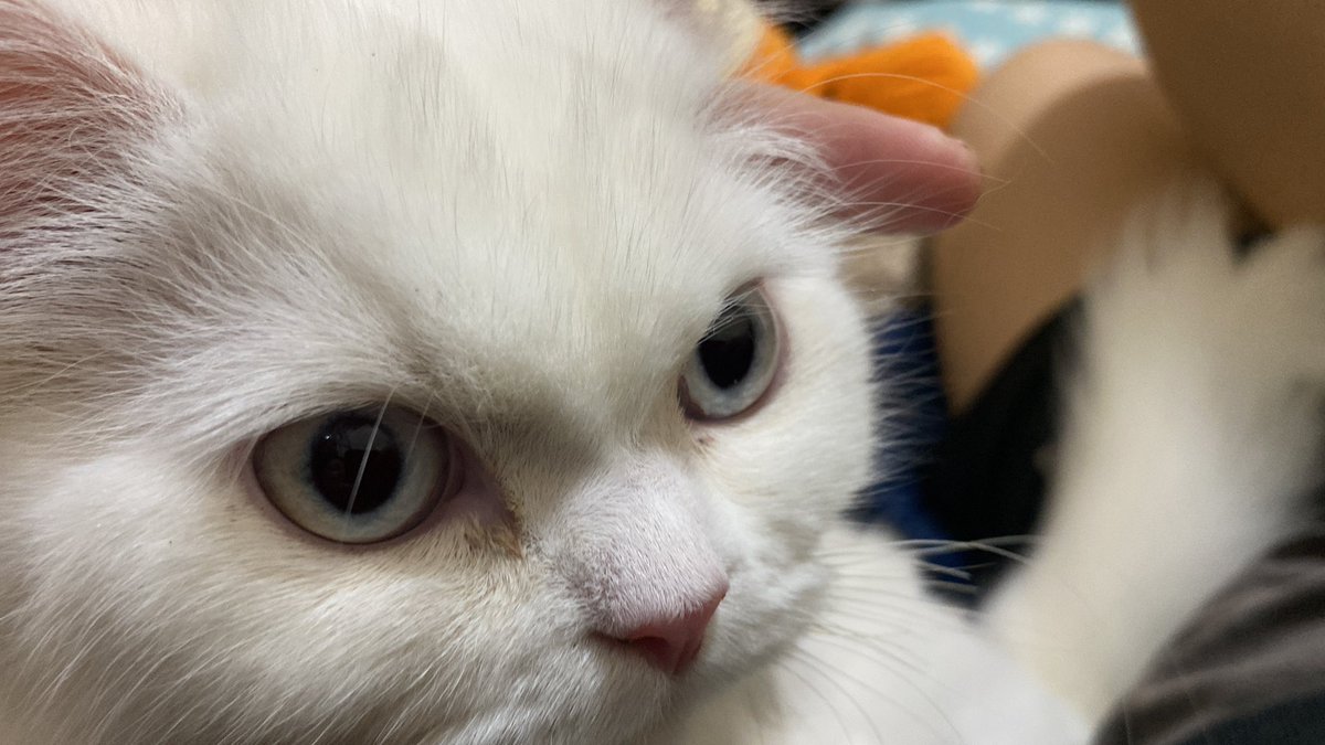 jessetnn's tweet photo. emg bole sebete ini? https://t.co/NPqd7r2WuC