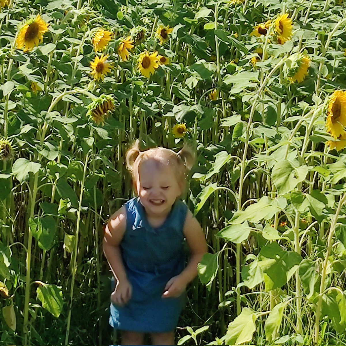 MiracleDawn25's tweet photo. 😍🥰 this girlie brings so much joy! https://t.co/vgFBU9CqJK