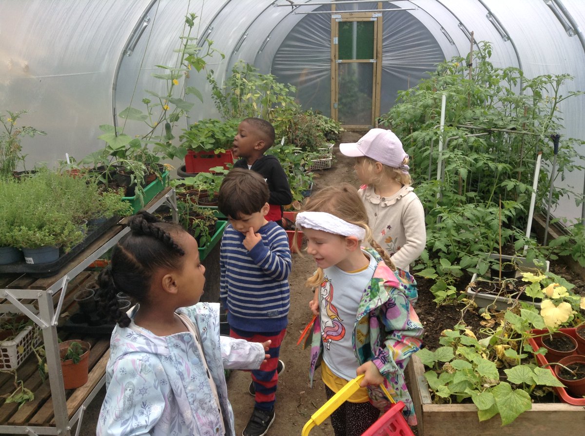 HeathbrookPri's tweet image. Please support this fantastic programme to enable other schools to benefit from similar facilities donated by @sfmtweet and @WholeKidsFnd [thanks again to @FloEshalomi for formally opening our new polytunnel] #plant2plate #growlocal #outdoorlearning