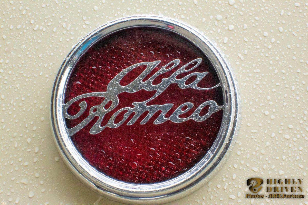 MRTFortune's tweet photo. Unmatched Elegance: 1938 Alfa Romeo "Italian Stallion"

@HighlyDriven_ @goodguys @IowaStateFair

#highlydriven #goodguys23
#Alfa #Romeo #vintage #classic #Iowa #goodguys #carshow #antiquecar https://t.co/FSKtNbbn4K