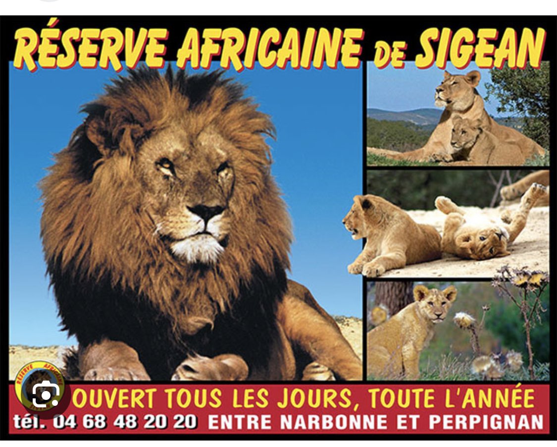 corazondemacho's tweet photo. Réserve Africaine de Sigean 🇫🇷 https://t.co/KxWYgsjQjQ