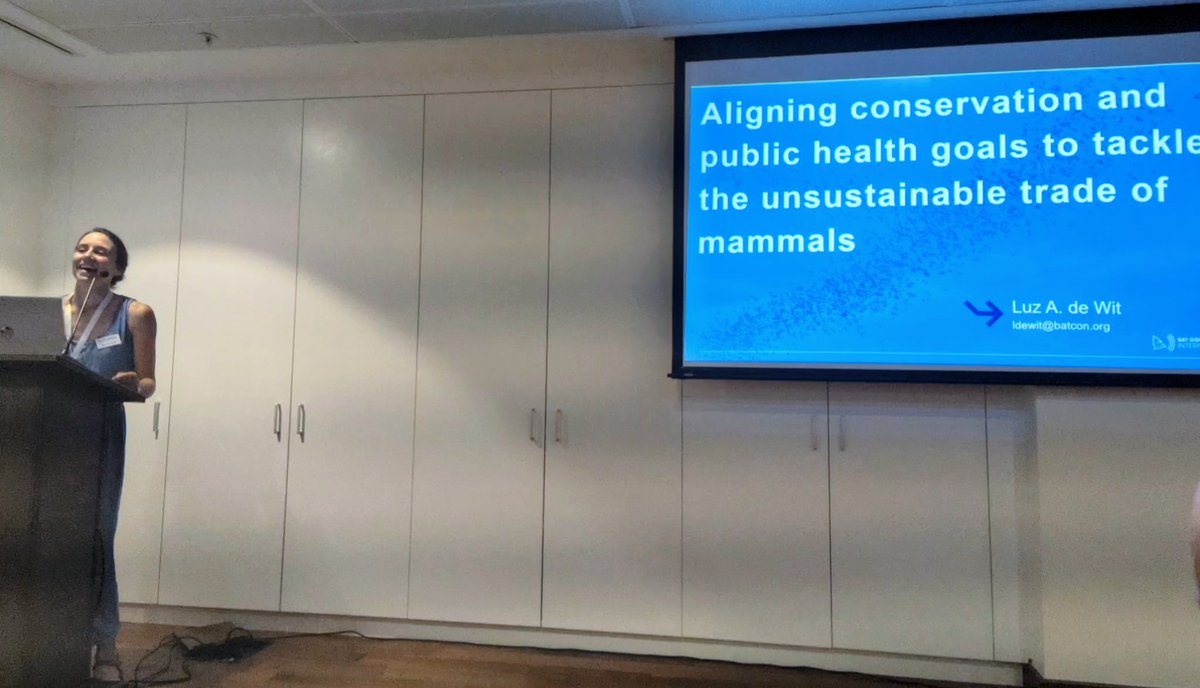 Amanda M. Adams tweet media