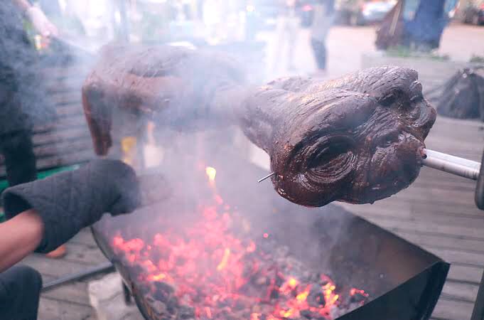 FitSurgeon's tweet photo. Llegaron los aliens

Los pinches chinos que todo se tragan en corto: https://t.co/ERpvyzvORA