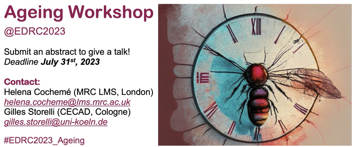 Fly folks attending <a href="/EDRC2023/">EDRC2023</a> - final few days to submit an abstract for the 'Ageing Workshop'!
#Drosophila
#EDRC2023_Ageing