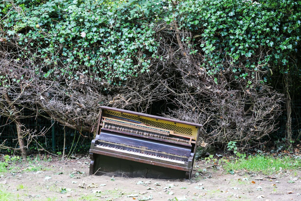 NoLightsProject's tweet image. Xenia Pestova Bennett workshop and Piano Garden at RAMP 2023