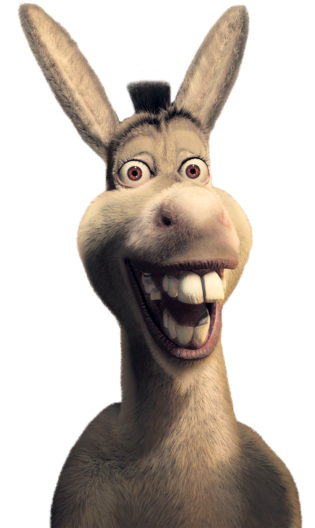 laughing-donkey-shrek