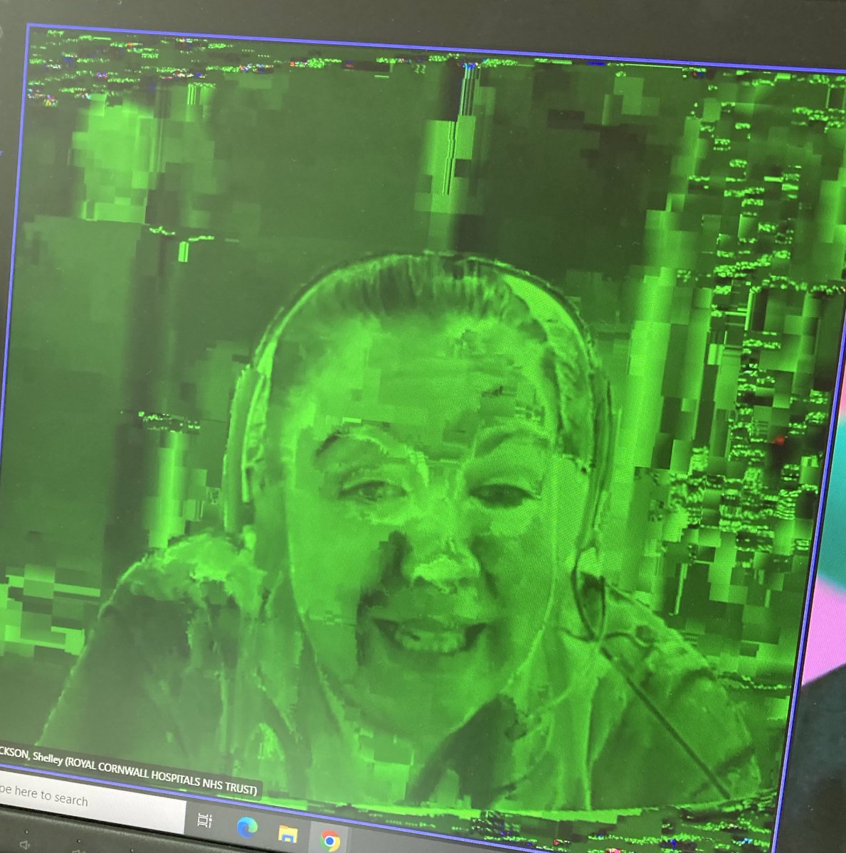 Shelley Jackson 💙 tweet media