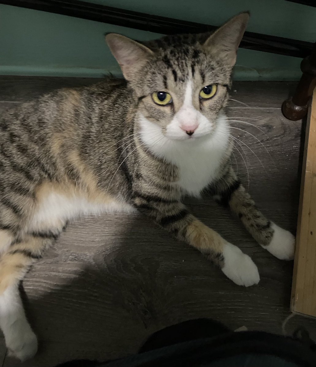 Shannon Minter tweet media