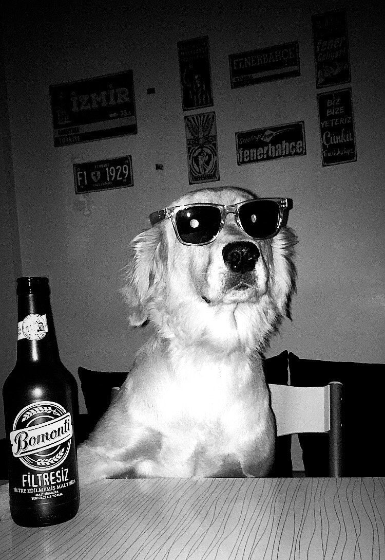 sen alışmışsın                     ben gecenin
güneşli günlere                   dördü beşiyim