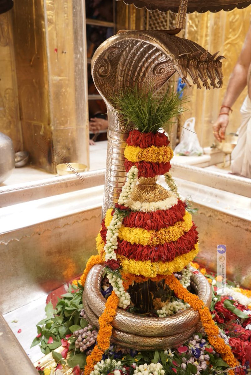 ShriVishwanath's tweet photo. आज दिनाँक 27-07-2023 को श्री काशी विश्वनाथ मंदिर के श्रृंगार आरती के दर्शन।  #ShriKashiVishwanath #Shiv #Mahadev #Baba #Temple #Darshan https://t.co/4ZLv4EBWTt