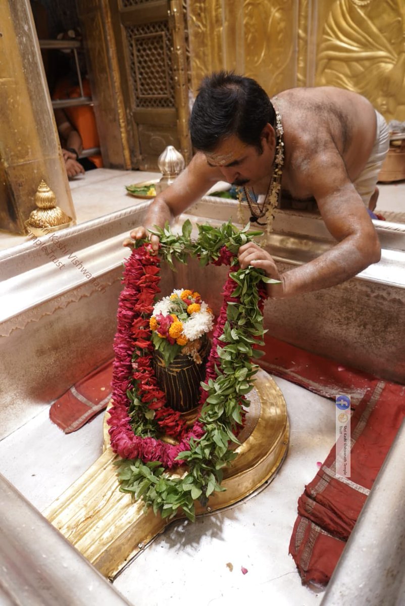 ShriVishwanath's tweet photo. आज दिनाँक 27-07-2023 को श्री काशी विश्वनाथ मंदिर के श्रृंगार आरती के दर्शन।  #ShriKashiVishwanath #Shiv #Mahadev #Baba #Temple #Darshan https://t.co/4ZLv4EBWTt
