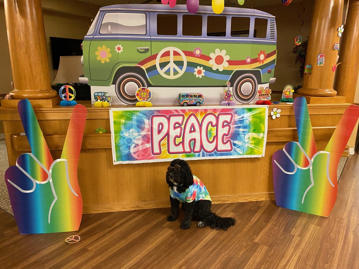 WoodBridgeHC's tweet photo. Freddy from our therapy department has been checking out all the fun decorations this week as we #dancingthroughthedecades He thinks town square is pretty out of sight! #trilogythemeweeks
#DiscowithTrilogy
#whyitrilogy https://t.co/dsV4v4subQ