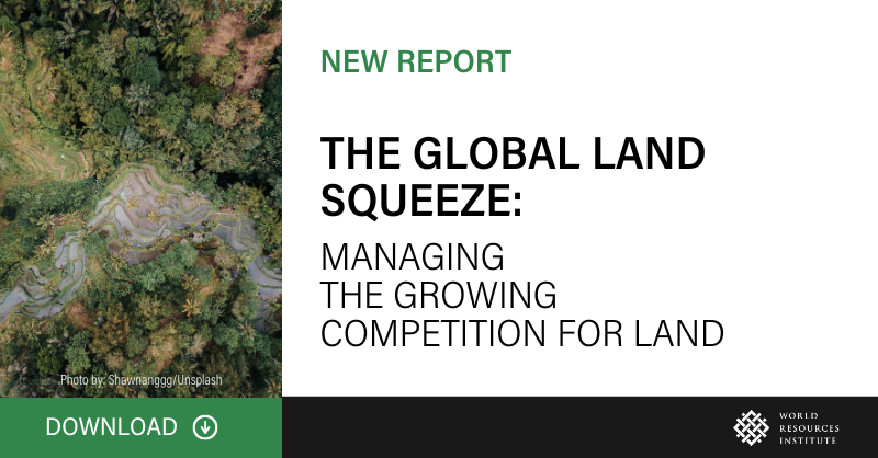 WRI Food tweet media