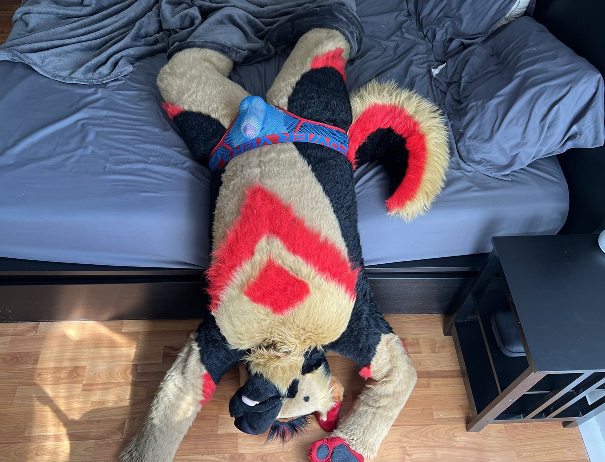 RedRookShep tweet media