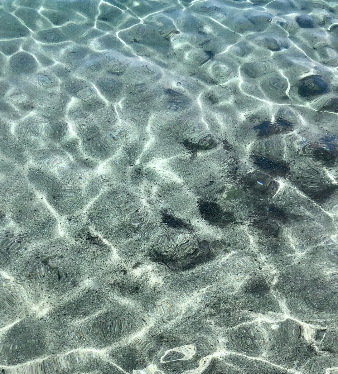 kitty_she99's tweet photo. Raga com è il tempo da voi? Qui nel nord Sardegna dopo una settimana da inferno finalmente si respira🫠 https://t.co/nMZBfCatbm