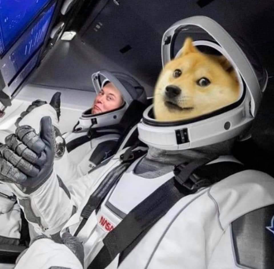 AlyColquhoun's tweet photo. @elonmusk https://t.co/KDdn2pVseT