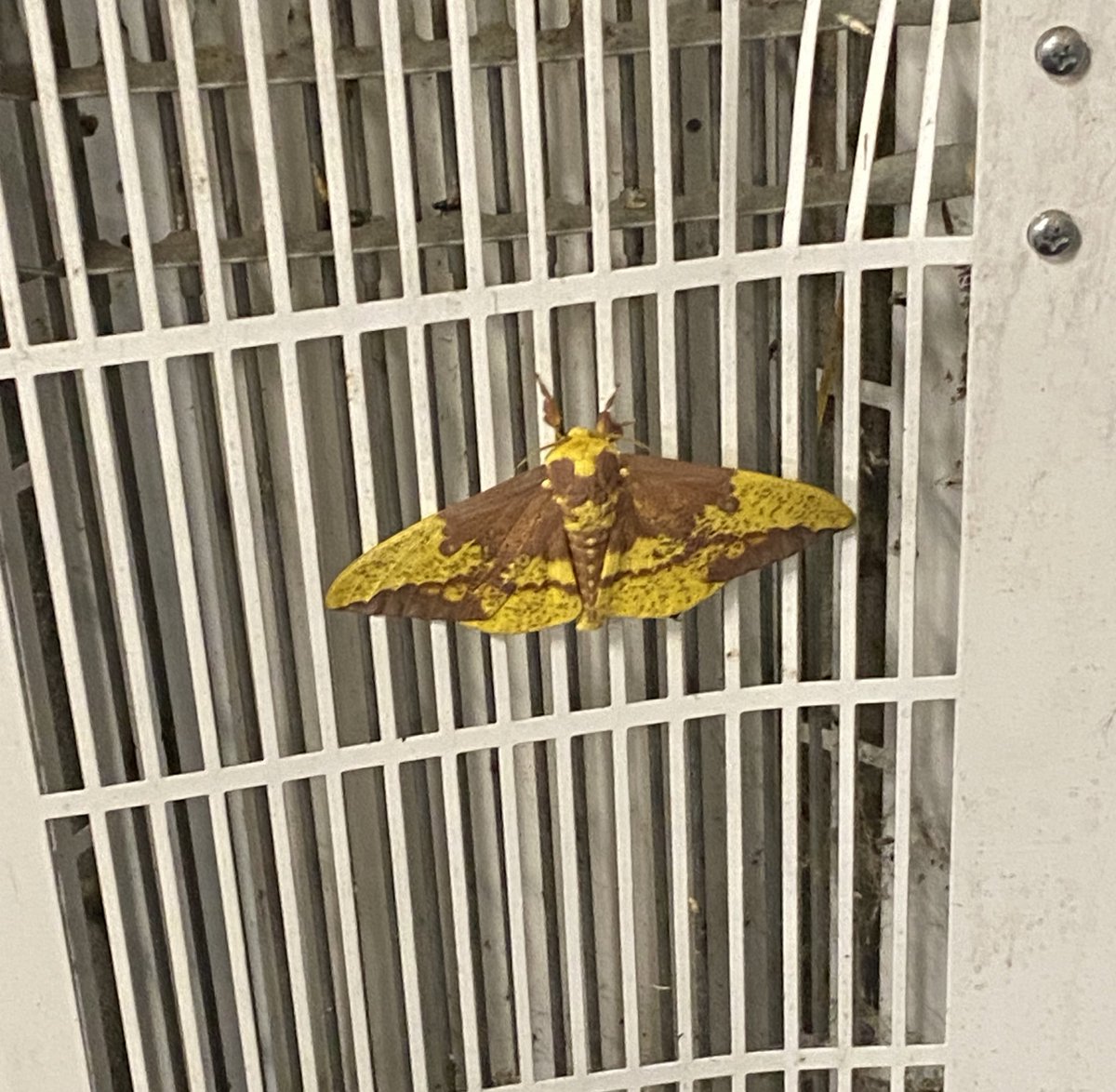 9thKeyPress.bsky.social tweet media