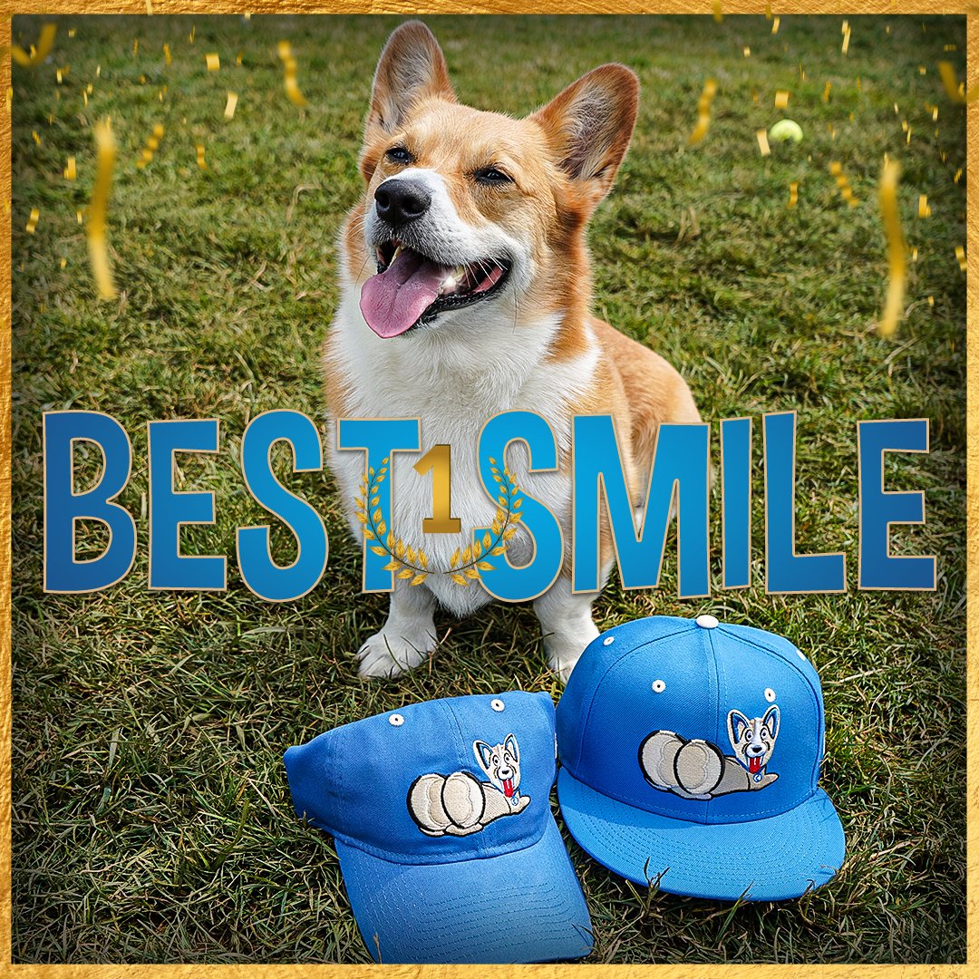 IronPigs's tweet photo. And the final category is... 𝐛𝐞𝐬𝐭 𝐬𝐦𝐢𝐥𝐞 🏆   

From now until 5 p.m. tomorrow post photos of your furry friends &amp; their adorable smiles for a chance to attend Corgi Night on Tuesday, August 1 with your pup!    

Reply below using #LVCorgi ⬇ https://t.co/1FCS1CjeAZ