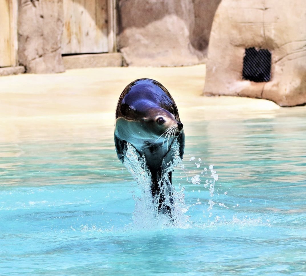 @blackpoolcentral tweet media