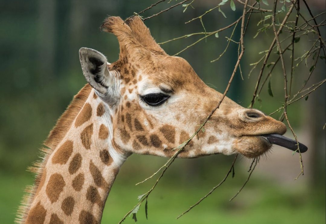 @blackpoolcentral tweet media