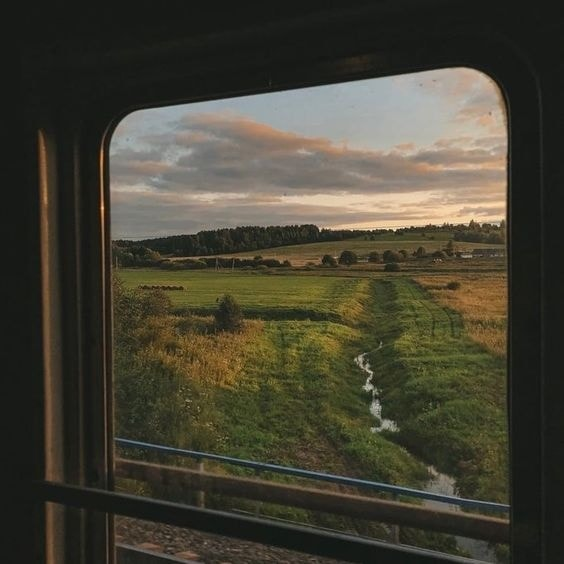 ᅠ tweet media