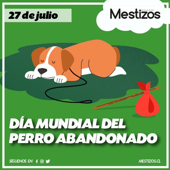 mestizos_cl's tweet photo. Cada día, millones de perros son abandonados en las calles y son víctimas del maltrato e indiferencia de los seres humanos. Cada 27 de julio, se conmemora el Día Internacional del Perro "Callejero". La fecha, busca visibilizar la problemática del abandono y promover su adopción. https://t.co/JtqsnuBbHv
