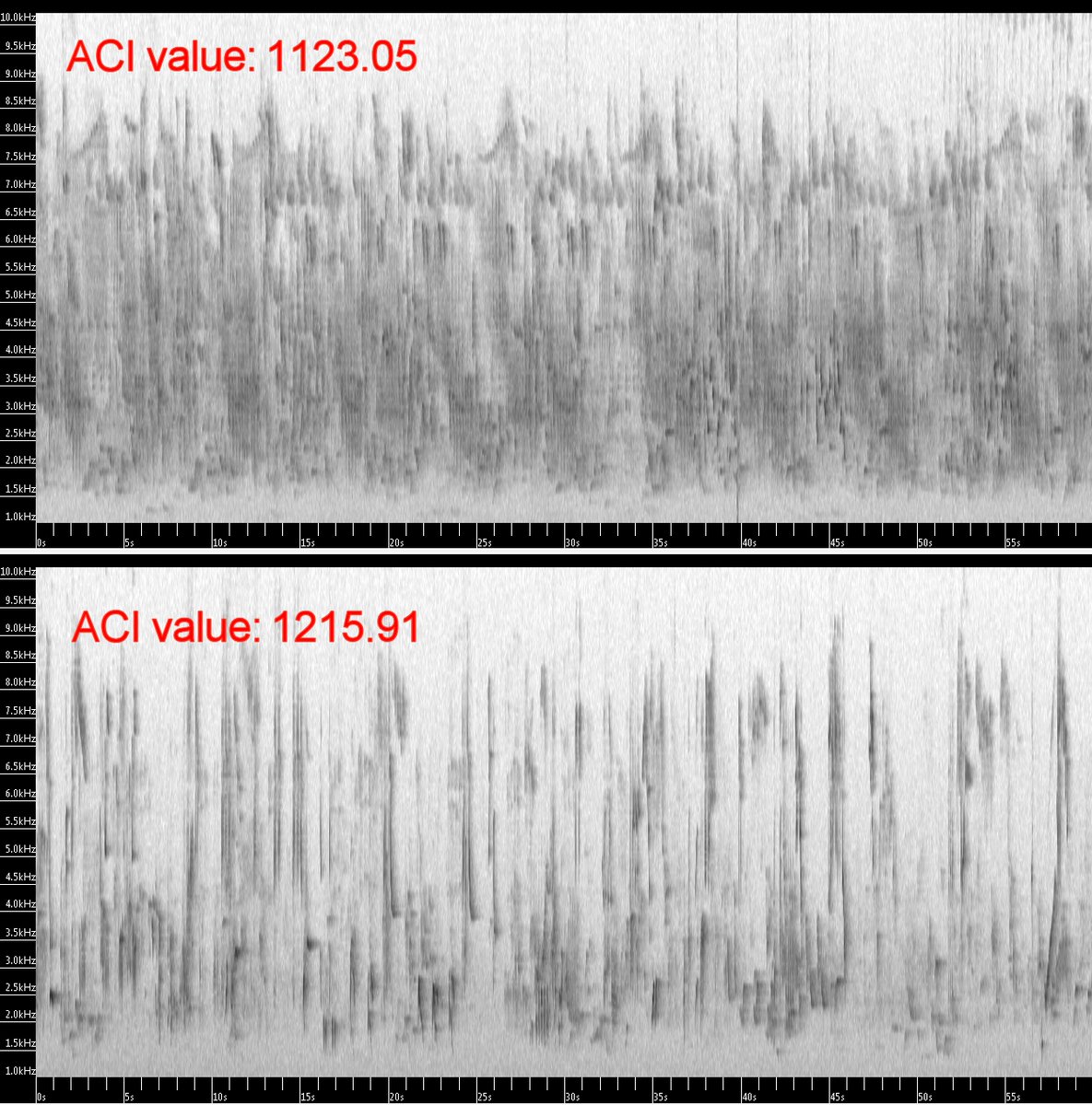 RichardDBeason's tweet photo. Lower Acoustic Complexity Index (ACI) values produced for high levels of bird activity at dawn chorus could be caused by the homogenisation of saturated soundscapes. 
Normalised Difference Soundscape Index (NDSI) displayed a non-linear relationship with bird species richness. https://t.co/1zL35Mpqlz