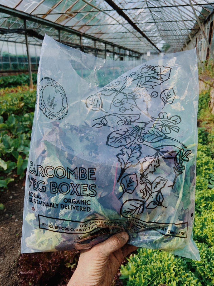 SurepakUK's tweet photo. Sustainable, Compostable, Plastic-Free and GMO-Free Salad Bags! To find out more read our new blog: https://t.co/9EsekZYLQi 
📸@BarcombeOrganic https://t.co/g678xKgY3W