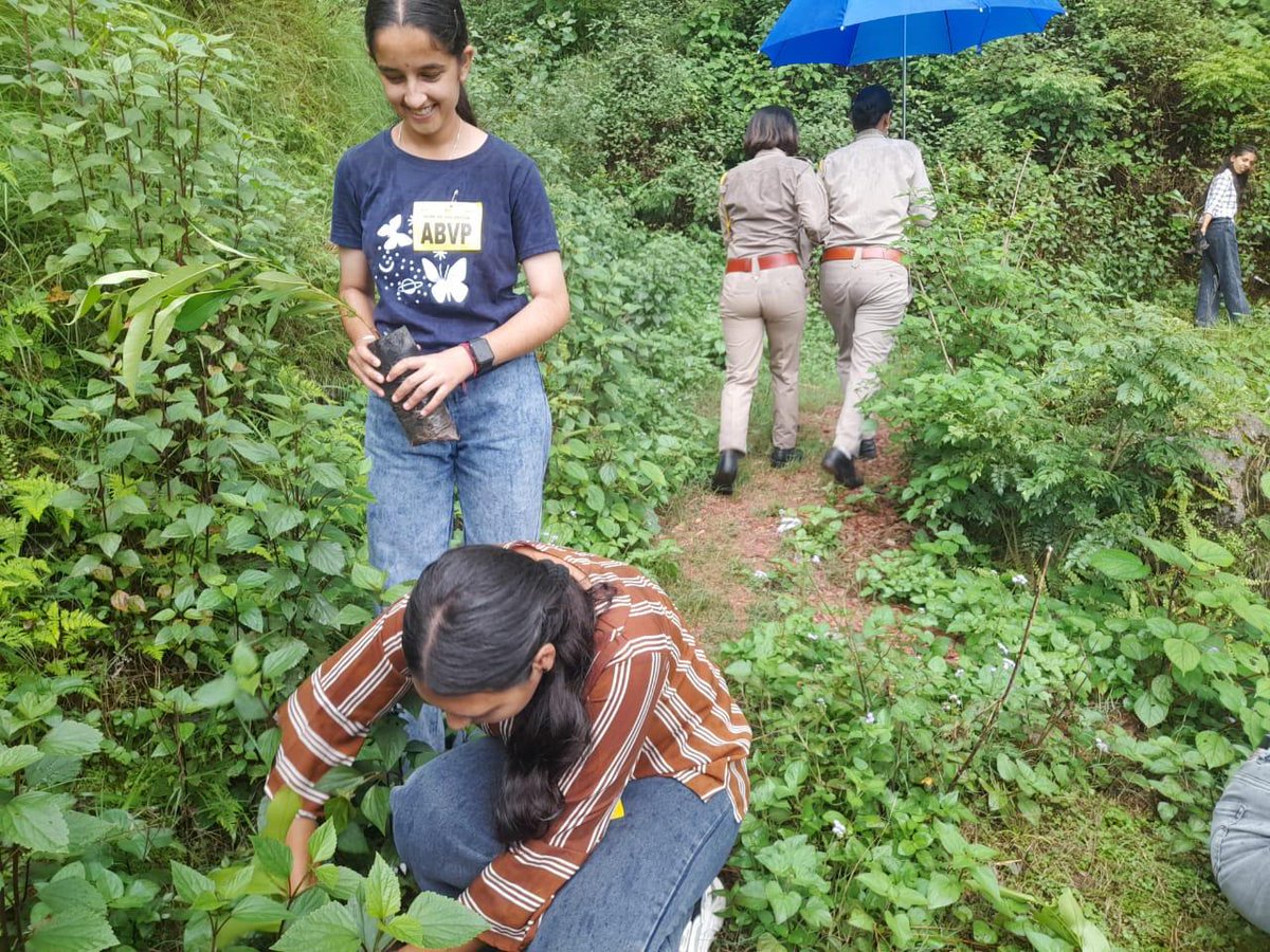 sfdhimachal's tweet photo. विकासार्थ विद्यार्थी एवम् सुनील उपाध्याय एजुकेशनल ट्रस्ट द्वारा आयोजित पौधारोपण महा अभियान के अंतर्गत MLSM इकाई सुंदरनगर के कार्यकर्ताओं ने आज सुंदरनगर में पौधारापण किया। 
#TreePlantation
#Sfdhimachal https://t.co/TvSMvCEIAk