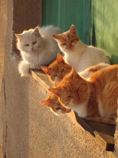 Wannawave (@wannawave) on Twitter photo 