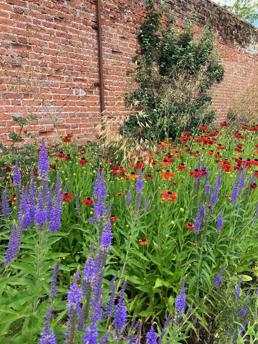 In the walled garden, strawberries, early raspberries and peas provide a tasty treat. And our wall trained fruit trees have a good crop of quince, apricot and almonds.

Most mornings, our little resident owl surveys the estate from the garden walls.

#Countryestate #walledgarden