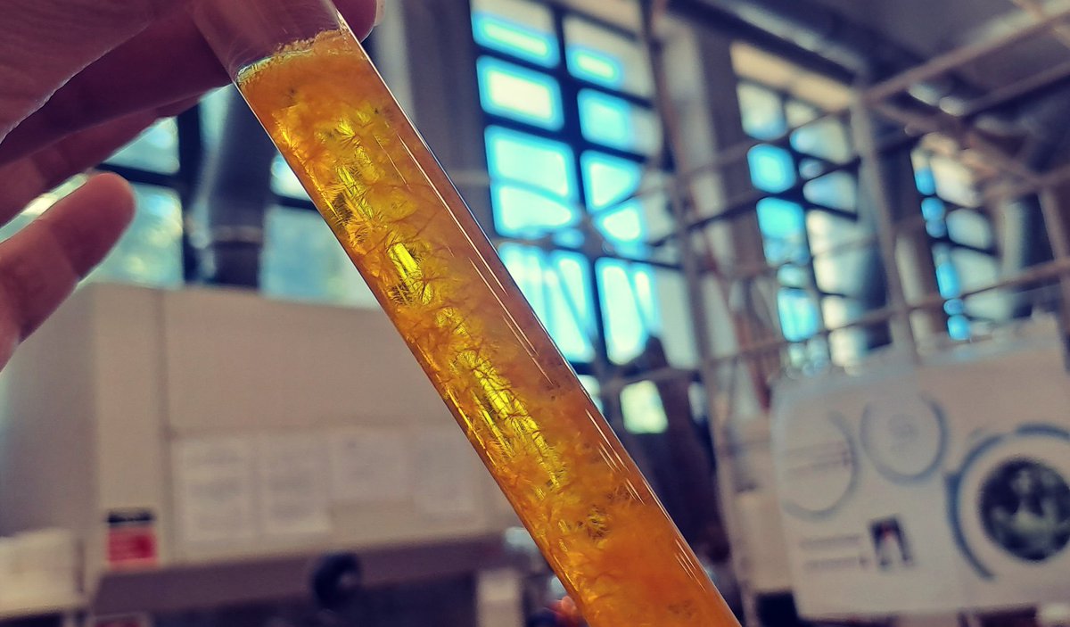 CarinaCrucho's tweet photo. A crystalline surprise during column #chromatography! 👩🏻🔬 As my compound crystallized unexpectedly in one of the fractions, it revealed the beauty of #science in action. 😀 #ColumnChromatography #CrystalSurprise #womeninstem #womeninscience #realtimechem https://t.co/VygFxNPjWc