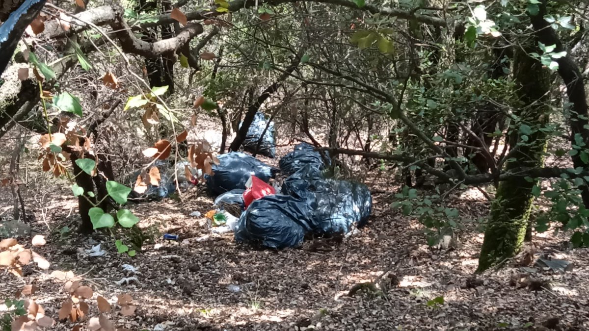 AjElBrull's tweet photo. Els serveis municipals retiren un abocament il·legal de deixalles des de la Crta BV 5301, de #ElBrull a #Collformic, dins el PN @montseny
Parcs Naturals Sí, però amb civisme https://t.co/dF4PHdA6Ca