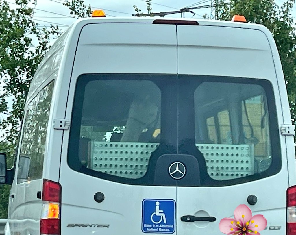 Dietrini's tweet photo. Im Auto vor mir sitzt ein Alpaka. Jetzt wird alles gut. https://t.co/URVLQs283D