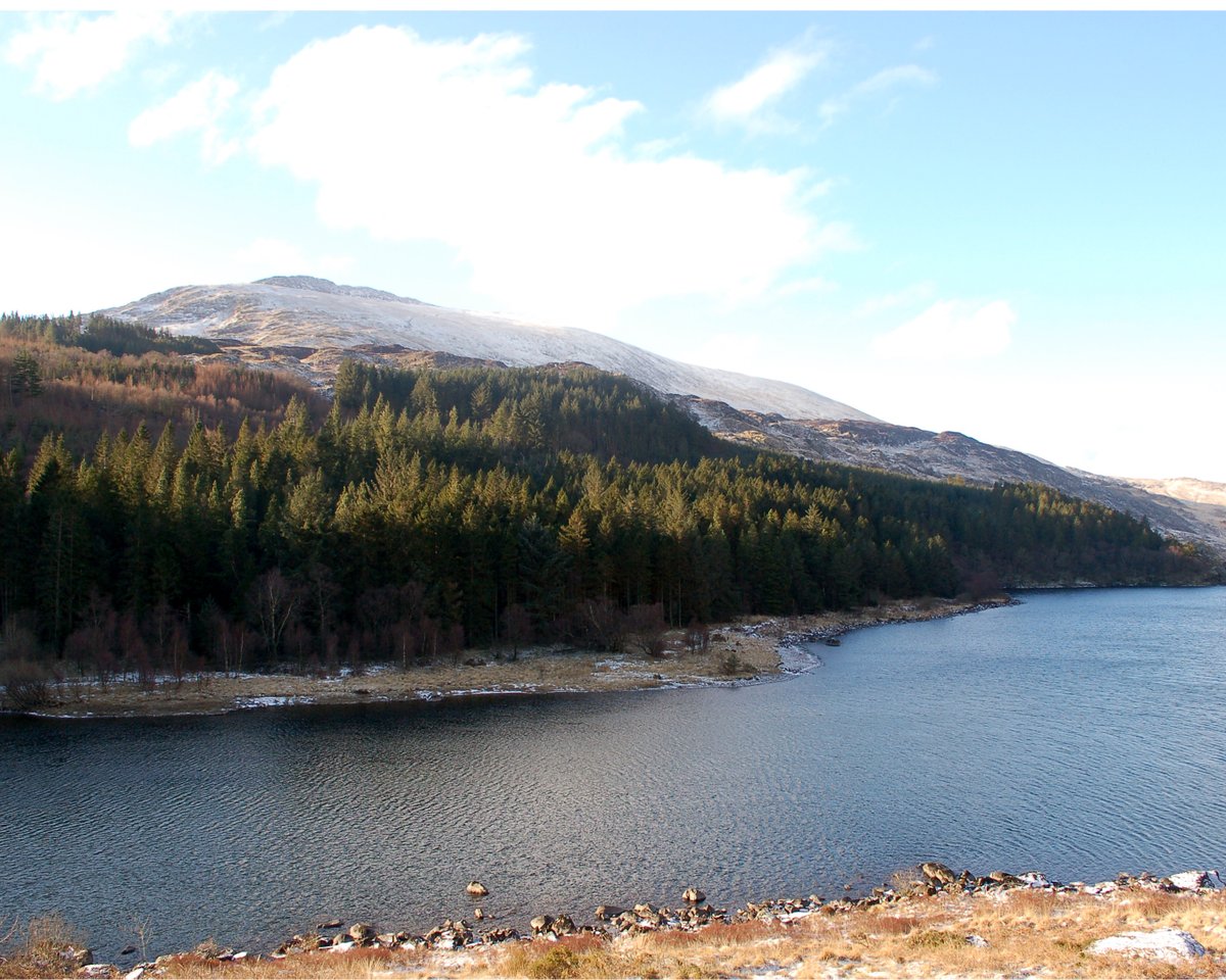 BrynBella's tweet photo. Escape to #Snowdonia this summer, stay at Bryn Bella! Unwind in our budget-friendly rooms designed to cater to your needs. Don't miss out on the #UltimateSummerExperience - book now and be the epitome of cool! Go to https://t.co/oYSdct7tK4 #StaycationBliss #BookNowForSummer https://t.co/WsfnqPCYKv