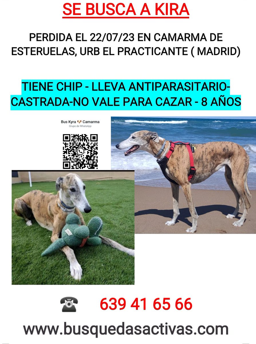 TierrayaguaVeng's tweet photo. #DIFUNDO
Yo la llevo buscando desde esta mañana por la zona de Ajalvir, Daganzo y Cobeña...
Hemos montado un dispositivo de búsqueda y hay gente poniendo carteles también en todos estos pueblos. https://t.co/ArKZ0ejiHs