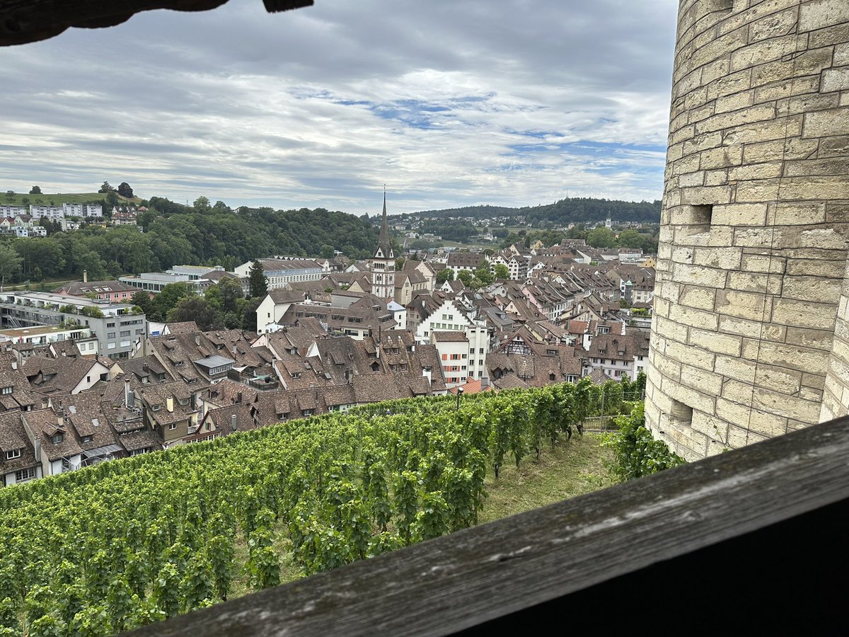 „Zürcher“ Etappe von #EnsemenalRein von Stein am Rhein mit dem Schiff nach Schaffhausen mit toller #Munot-Führung.