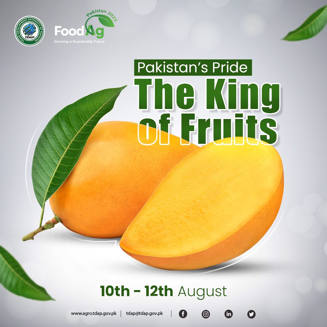 official_tdap's tweet photo. Experience the magical flavour of the regal Mangoes of Pakistan! Grown with utmost care by our skilled farmers, Pakistan's mangoes repertoire includes a stellar cast of varieties such as Chaunsa, Sindhri, Anwar Ratol, and Langra, each celebrated for its unique taste, texture, and aroma. 

Join us at FoodAg2023 on 10-12 August 2023 at the Expo Centre, Karachi and prepare to be swept away by the unrivalled flavor of our premium quality mangoes.  #PakistanMangoes #FoodExpo2023 #TasteOfExcellence #FarmersPride #FoodAg2023 #TDAP #FromFarmToTable #GlobalPartnerships #GrowingASustainableFuture