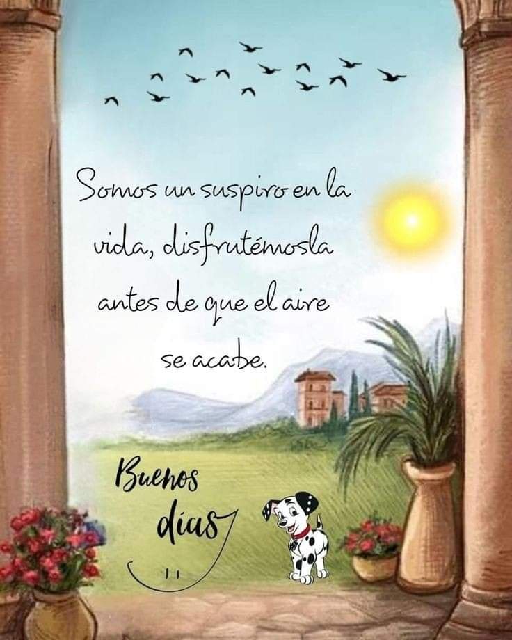 lunita ❤️❤️❤️❤️❤️❤️‍🔥♥️♥️♥️♥️♥️ tweet media