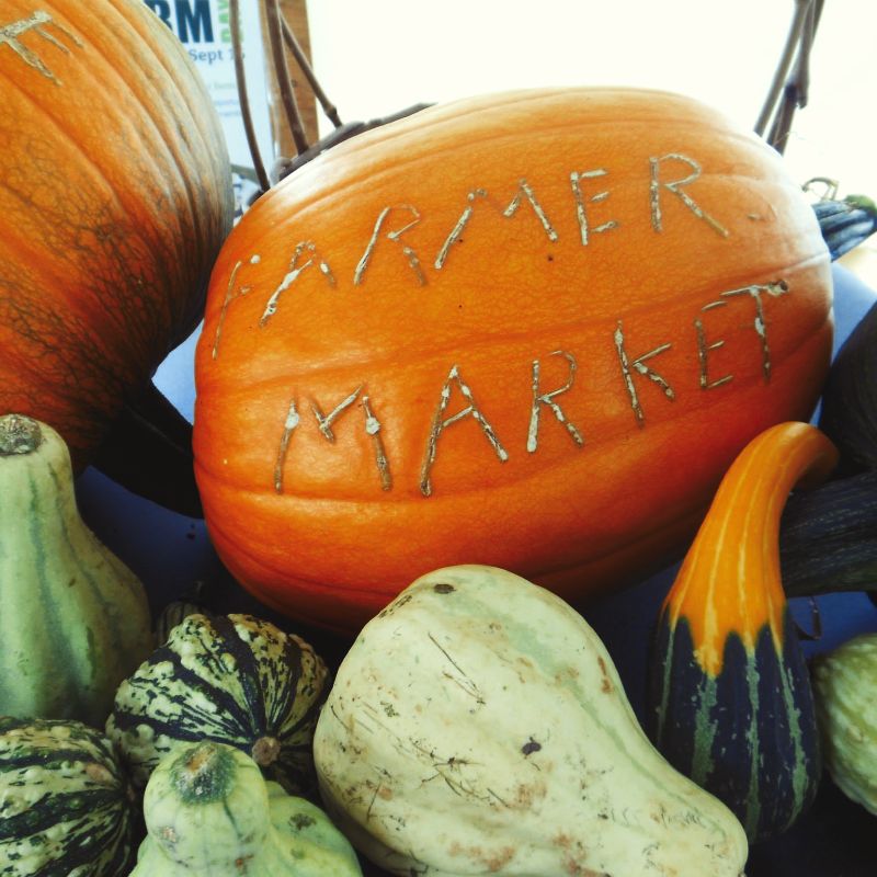 The Argyle Farmers Market is located in Tusket, NS. This market is a great place to buy locally raised produce, honey and eggs, delicious freshly baked goods, handmade body products, and locally created crafts and photography. Open June-Aug.

farmersmarketsnovascotia.ca/argyle-farmers…