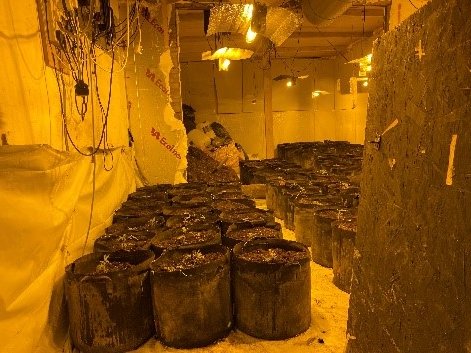 MPSBexley's tweet photo. #KnockKnock 🚪
#Arrested 🚨

Successful Warrant in #Sidcup by the Bexley Neighbourhood Tasking Team 

1⃣ Arrested for cultivation and possession with intent to supply Cannabis. Further checks revealed suspect was also wanted for failing to appear at court.

#CellSpaceForOne https://t.co/D28jBg3BRy