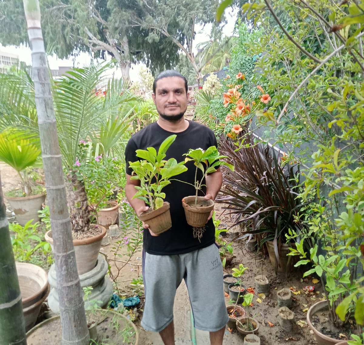 Mahendar_Parkas's tweet photo. #PlantForPeace #PlantsDrive  #ClimateChange #Tree #environment #PlantsForLife #ClimateAction #GreenSindh #environmental #July2023 #ClimateMarch #MSDOSindh #Sindh #SaveSindhForests 
#CestrumDiurnum #Karachi #ArabianJasmine #Plants
پنهنجي حصي جو ڪم #اچوته_وڻ_پوکيون 🌴🌳🪴💐 https://t.co/h1RMG8FeqK