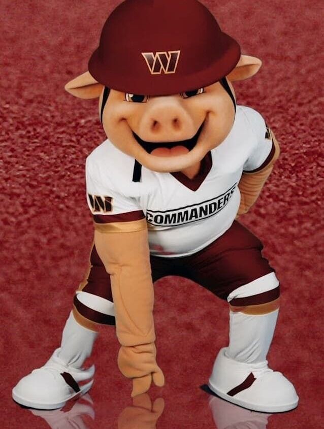 ZIPS Cleaners tweet media