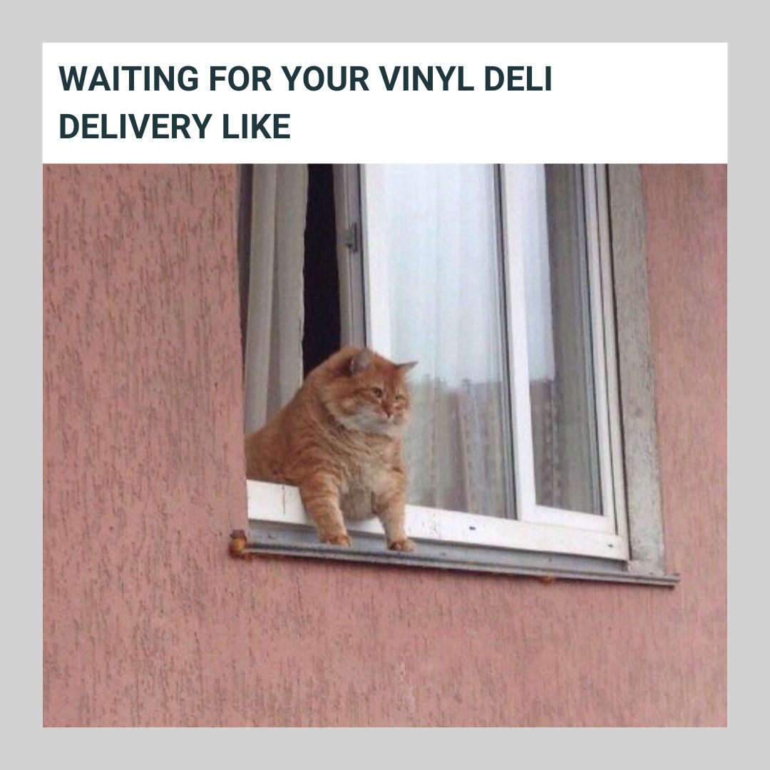 Vinyl Deli tweet media