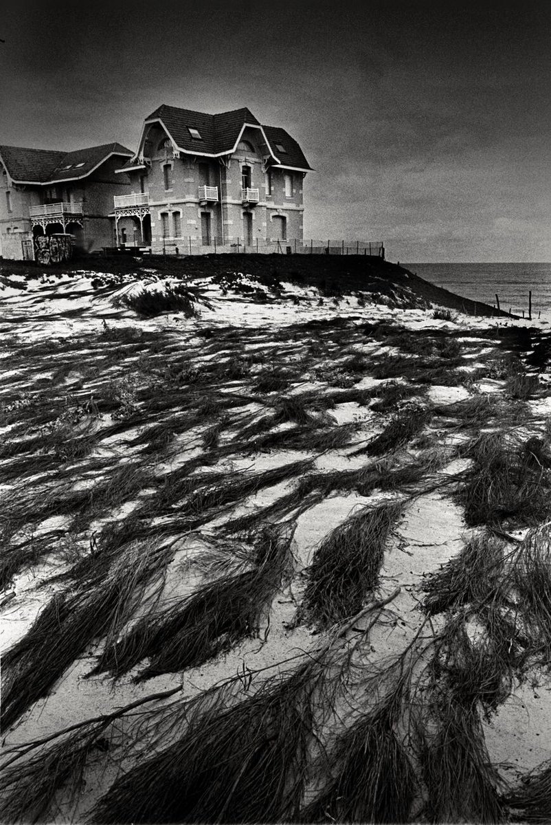 denisolivierart's tweet photo. Home By The Sea, Biscarrosse, France. June 2020. Ref-1348: Get prints https://t.co/sctuZNIgKT
#scanner #arsimago #fs120 #28mm #photography #leica #iso #trix400 #lens #france #white #d76 #400 #blackandwhitephotography #m7 #blackandwhite @kodakprofilmbiz #trix #braun #black… https://t.co/oJ89WUqoOo